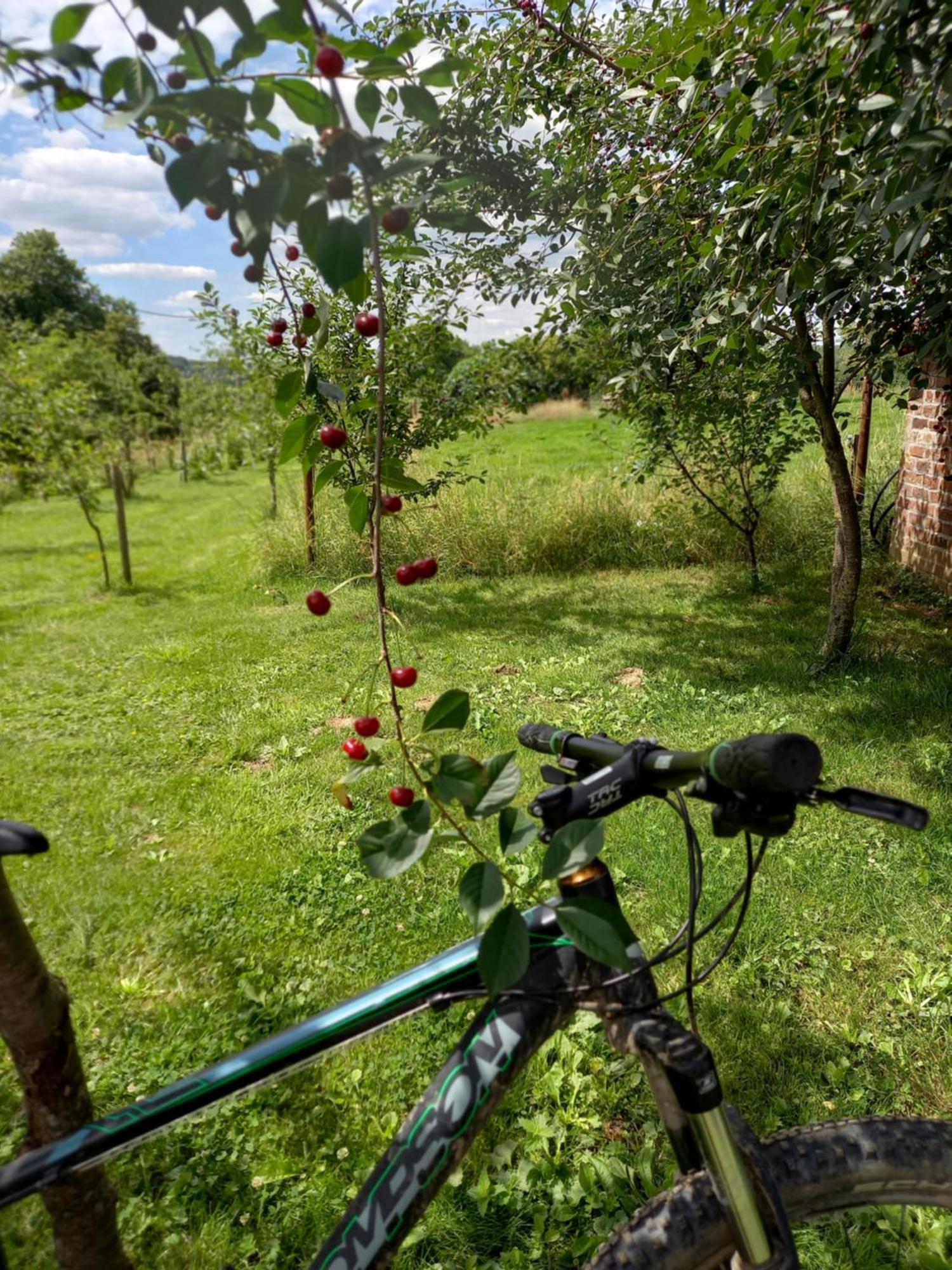 Trionfo Bed & Breakfast Gaasbeek Екстериор снимка