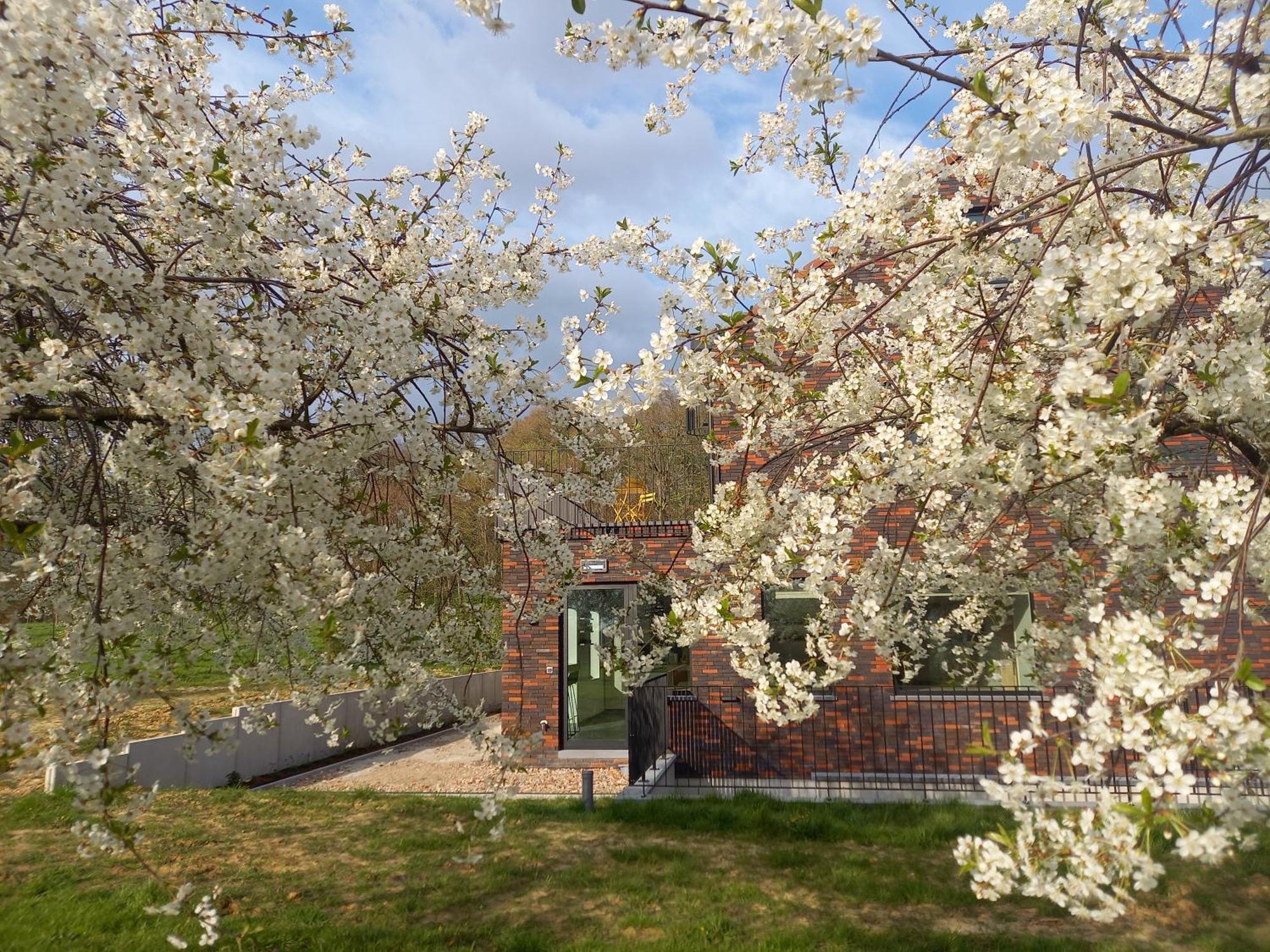 Trionfo Bed & Breakfast Gaasbeek Екстериор снимка